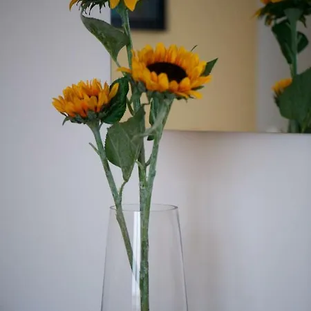 Bilocale Girasole Di Fronte Al Porto Turistico Di *